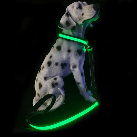 PelosettiShop usb charging portable led pet collar adjustable