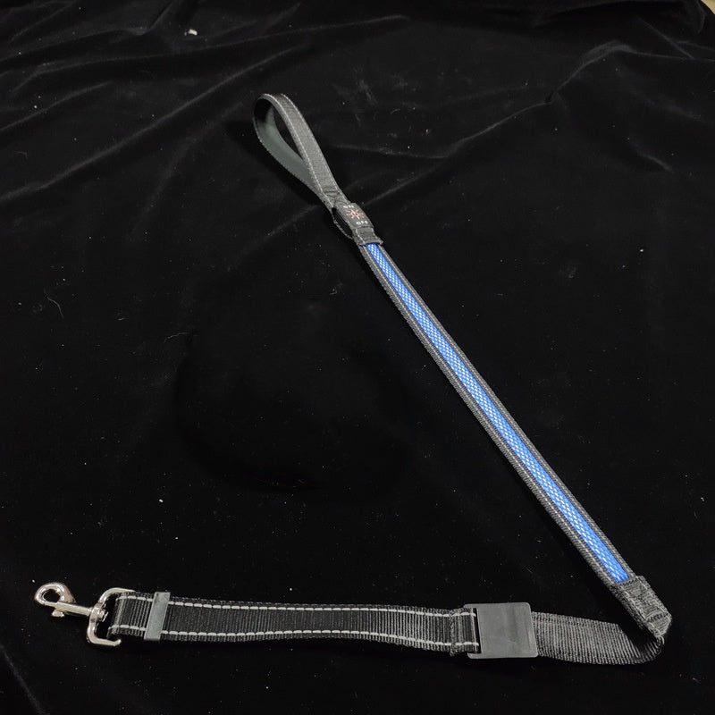 PelosettiShop usb charging portable led pet collar adjustable