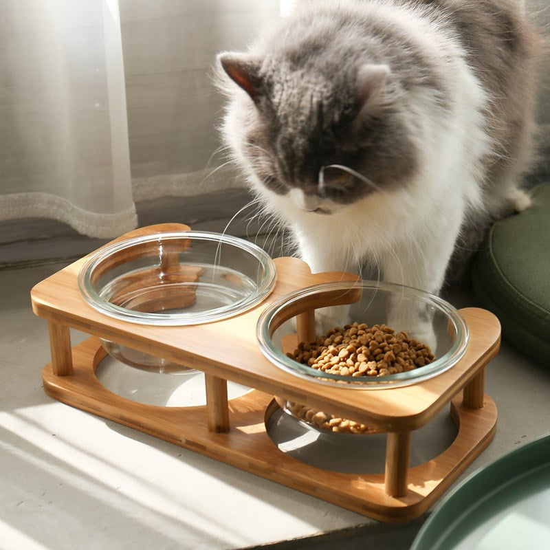 PelosettinShop Glass Cat Food Bowl Transparent Design