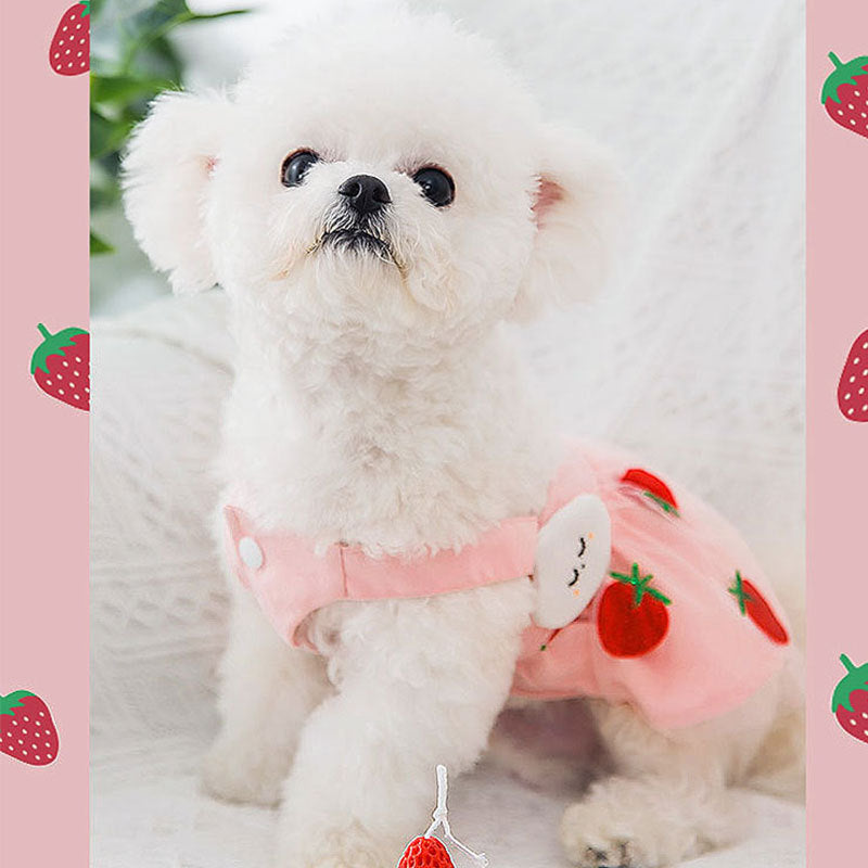 Vestito Principessa Fragola per Cani - Elegante e Dolce