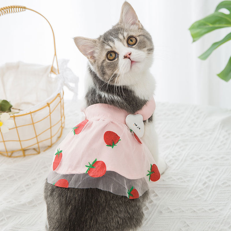Vestito Principessa Fragola per Cani - Elegante e Dolce
