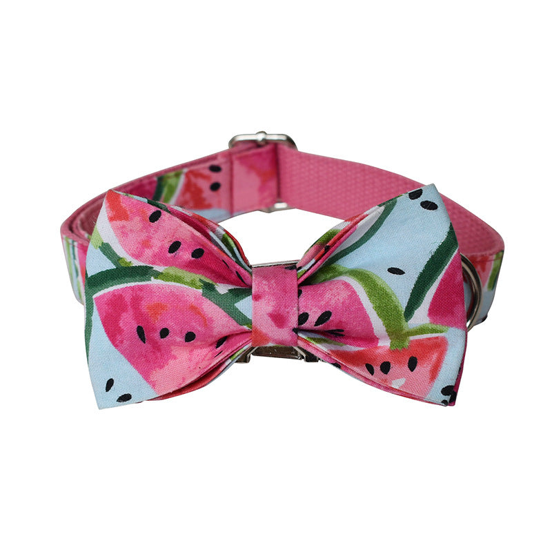 PelosettiShop watermelon dog collar and leash pet supplies