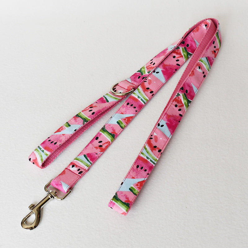 PelosettiShop watermelon dog collar and leash pet supplies