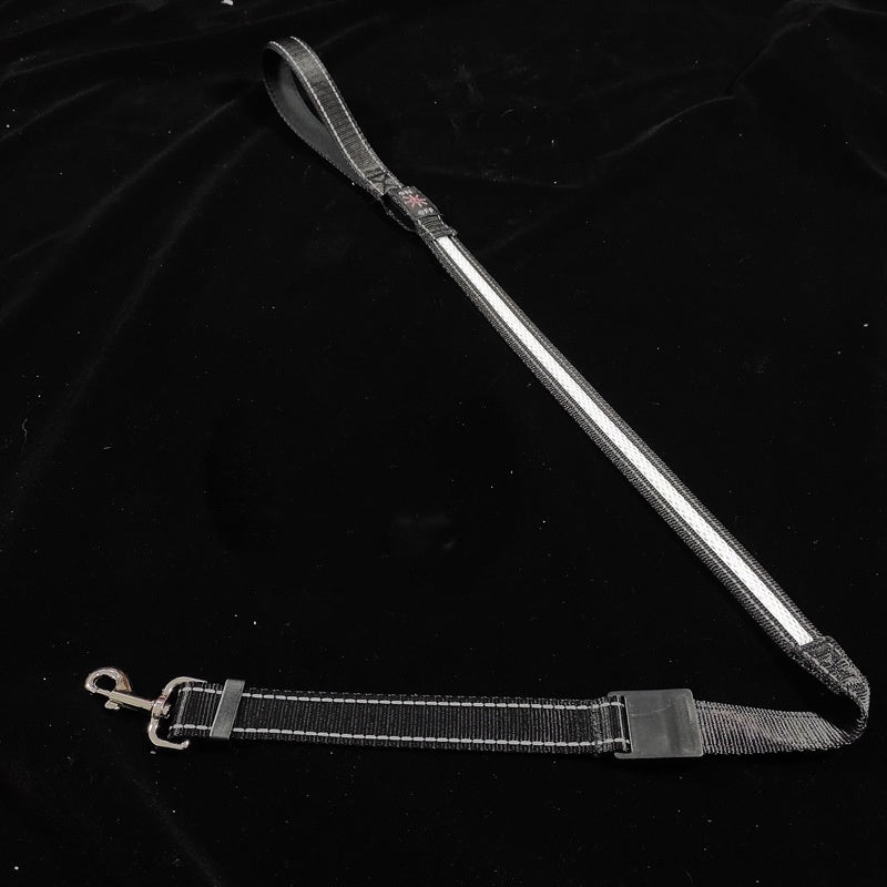 PelosettiShop usb charging portable led pet collar adjustable