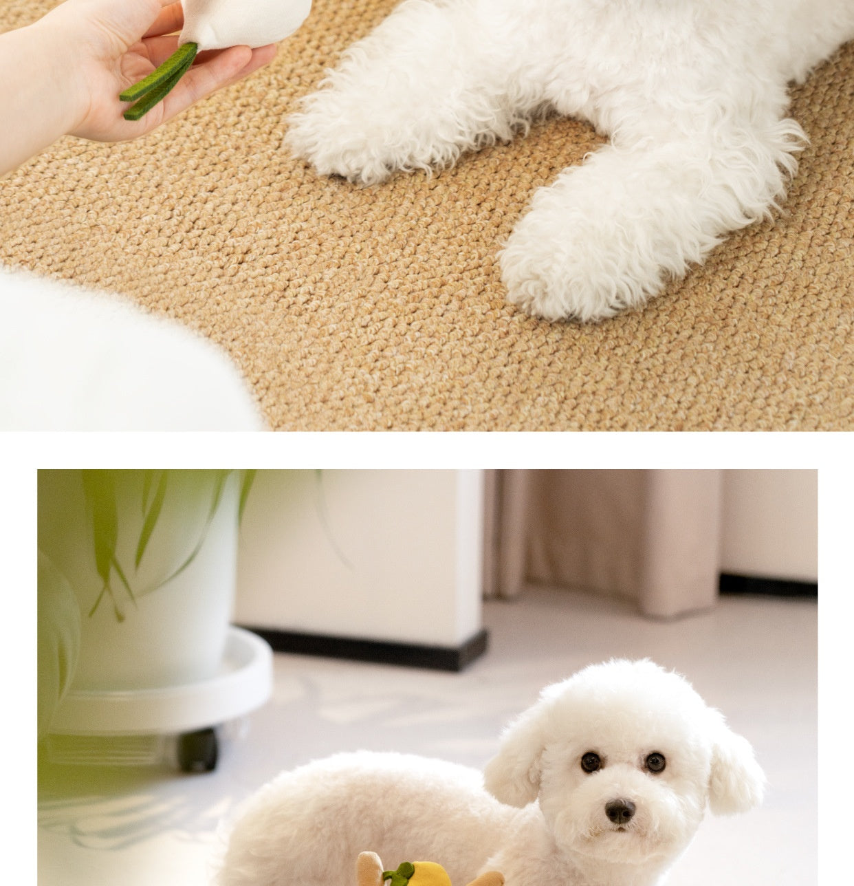 PelosettinShop Hidden Food Interactive Dog Educational Toy
