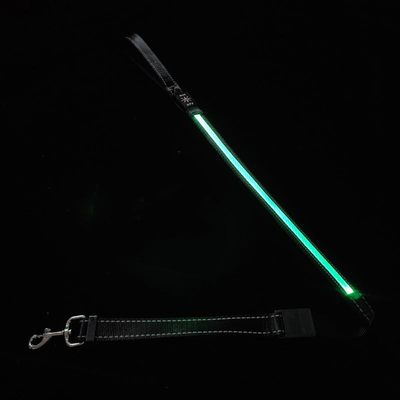 PelosettiShop usb charging portable led pet collar adjustable