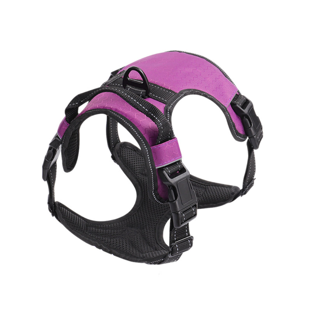 PelosettinShop Reflective Vest Dog Harness with Leash