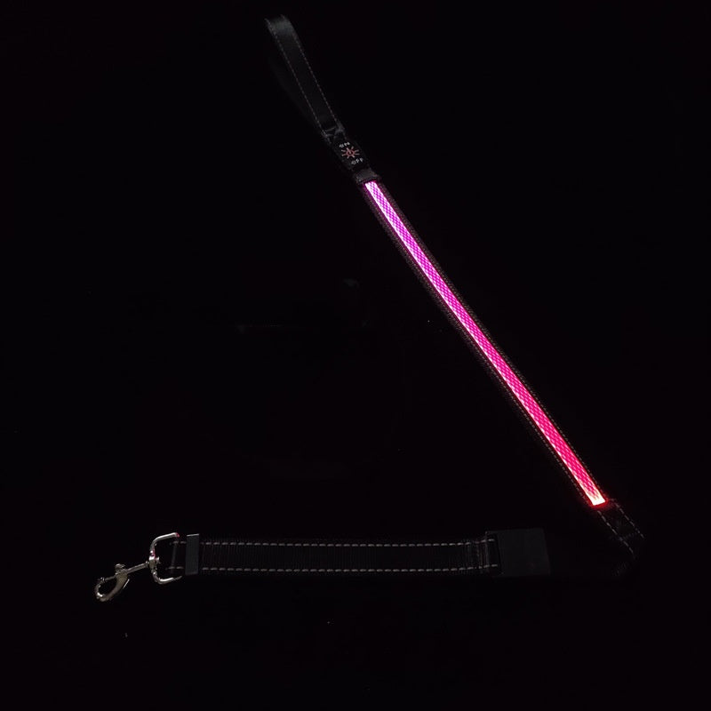 PelosettiShop usb charging portable led pet collar adjustable