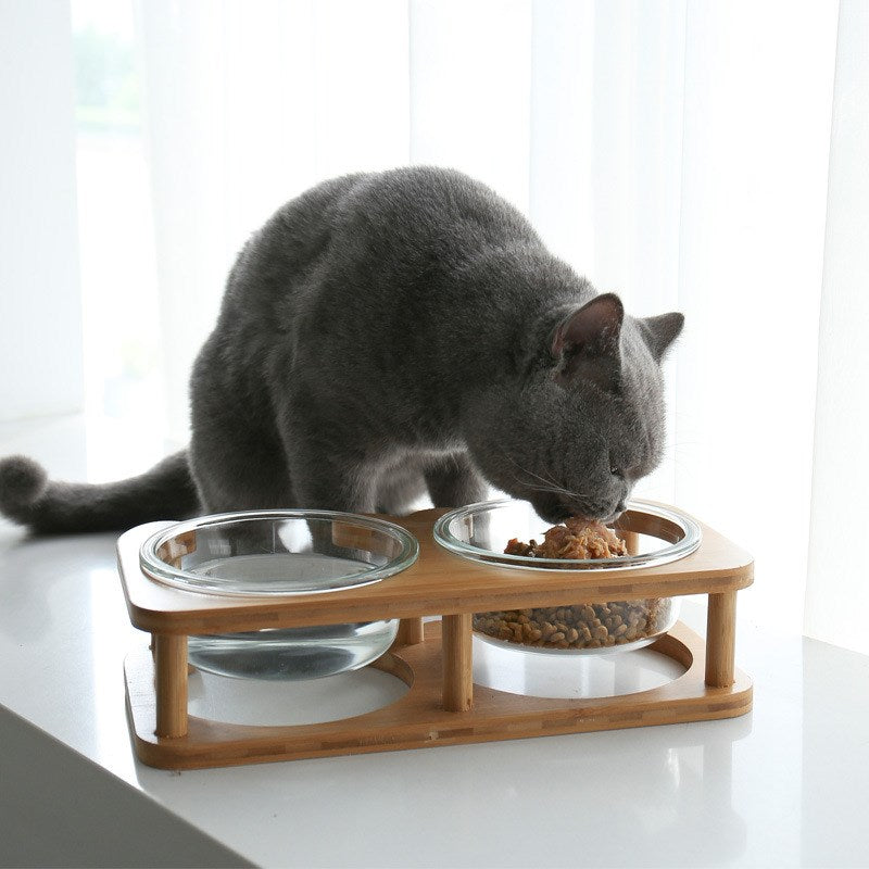 PelosettinShop Glass Cat Food Bowl Transparent Design