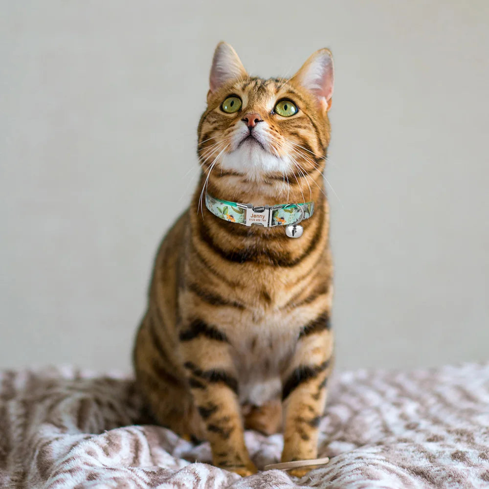 H752f3cabd75b49d3a51cb31f883461d0D