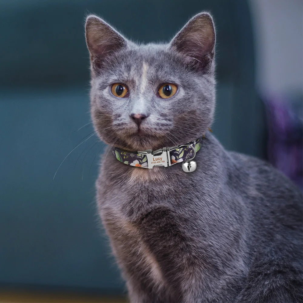 Hbc5382196e994f4783e4e58e3807b260y