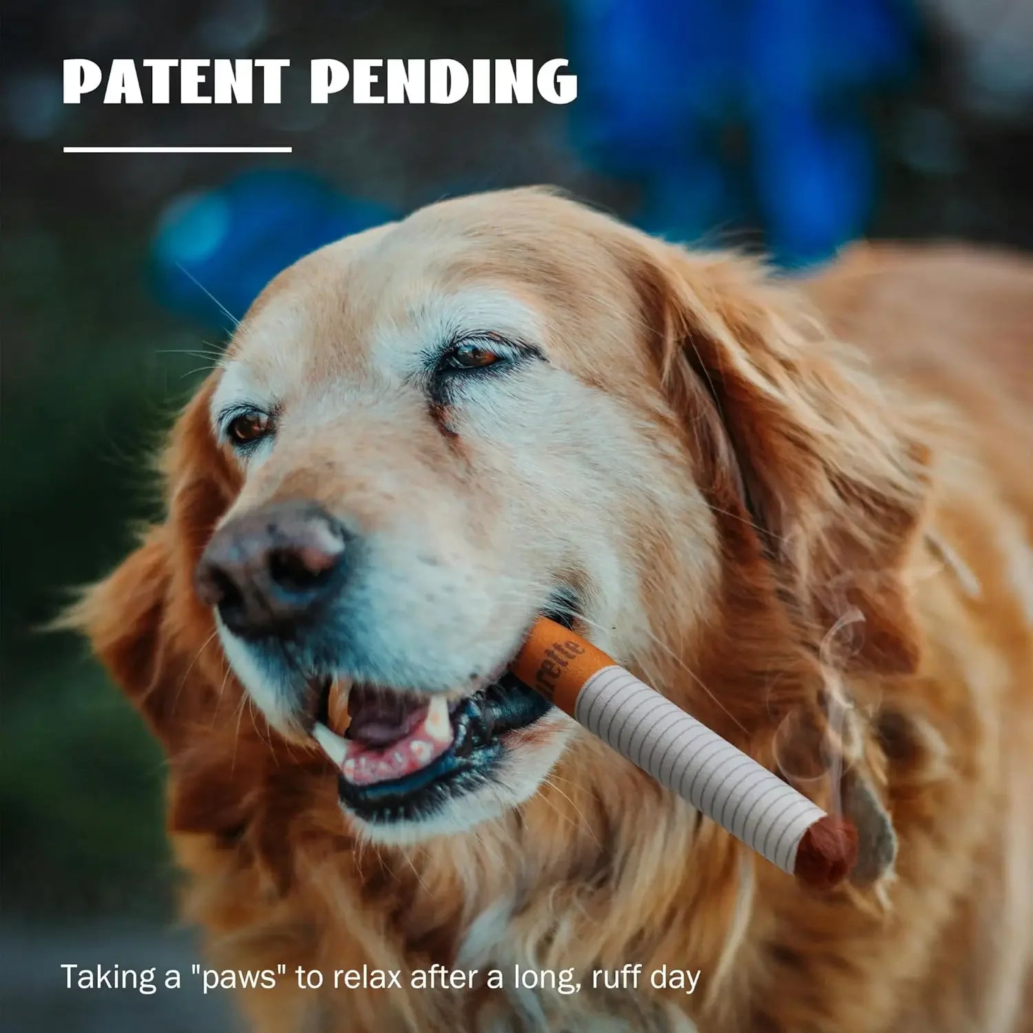 Sf080997d54b745948f60527c41f940255