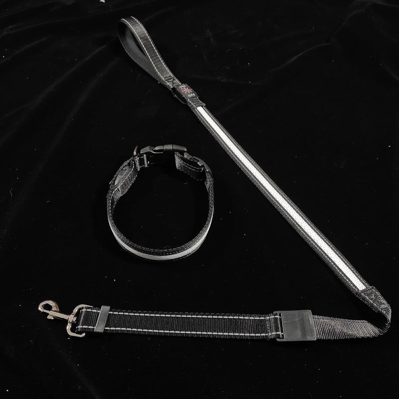 PelosettiShop usb charging portable led pet collar adjustable