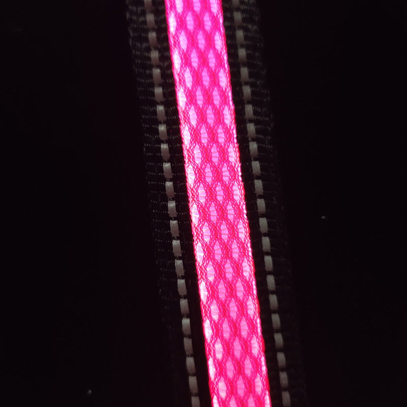 PelosettiShop usb charging portable led pet collar adjustable