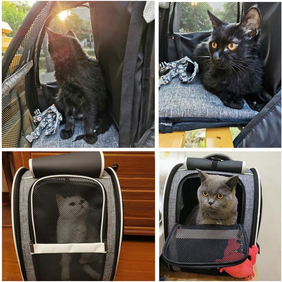 PelosettinShop Bubble Backpack Pet Carrier for Cats Dogs
