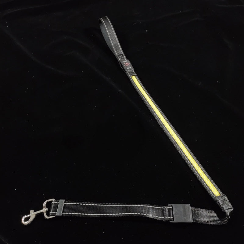 PelosettiShop usb charging portable led pet collar adjustable